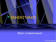INHERITANCE