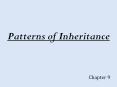 Patterns of Inheritance PowerPoint PPT Presentation