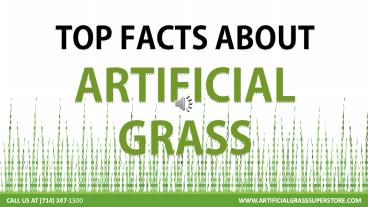 Facts About Artificial Grass