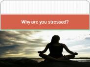 Why are you stressed
