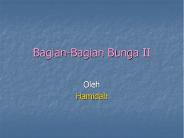 Bagian-Bagian Bunga II