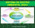SISTEMA DE GEST PowerPoint PPT Presentation