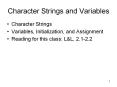 Character Strings and Variables PowerPoint PPT Presentation