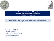 Tutor: Prof. E. Del Giudice