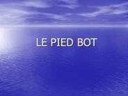 LE%20PIED%20BOT