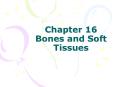Chapter 16 Bones and Soft Tissues PowerPoint PPT Presentation