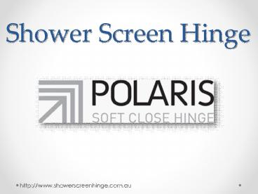 Shower Screen Hinge