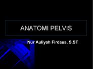 ANATOMI PELVIS