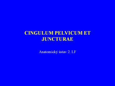 CINGULUM PELVICUM ET JUNCTURAE