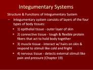 Integumentary Systems