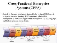 Cross-Funtional Enterprise Systems (CFES)