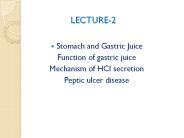 Stomach and Gastric Juice