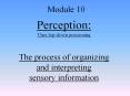 Perception: Uses top-down processing The process of organizing  and interpreting       sensory information PowerPoint PPT Presentation