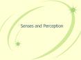 Senses and Perception PowerPoint PPT Presentation