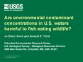 Are environmental contaminant concentrations in U.S. waters harmful to fish-eating wildlife? PowerPoint PPT Presentation