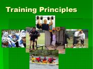 Training Principles