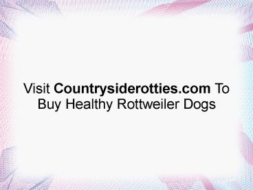 Visit Countrysiderotties.com To Buy Healthy Rottweiler Dogs