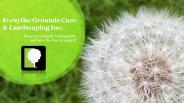 Forsythe Grounds Care & Landscaping Inc