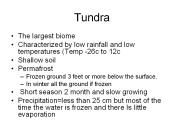 Tundra
