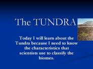 The TUNDRA