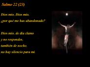 Salmo 22 (23)