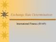 Exchange Rate Determination PowerPoint PPT Presentation