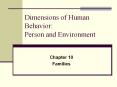 Dimensions of Human Behavior: Person and Environment PowerPoint PPT Presentation