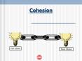 Cohesion PowerPoint PPT Presentation