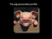 The Pig Personality Profile