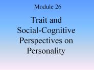 Trait and Social-Cognitive Perspectives on Personality