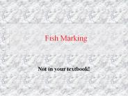 Fish Marking