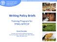 Writing Policy Briefs PowerPoint PPT Presentation
