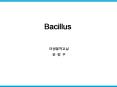 Bacillus PowerPoint PPT Presentation