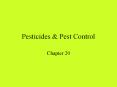Pesticides PowerPoint PPT Presentation