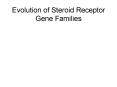 Evolution of Steroid Receptor Gene Families PowerPoint PPT Presentation