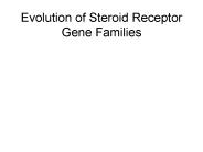 Evolution of Steroid Receptor Gene Families