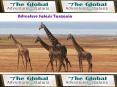 Adventure Safaris Tanzania PowerPoint PPT Presentation