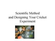 Scientific Method and Designing Your Cricket Experiment