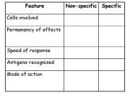 Phagocytosis