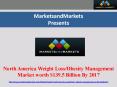 North America Weight Loss/Obesity Management Market worth $139.5 Billion By 2017 PowerPoint PPT Presentation