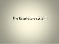 The Respiratory system PowerPoint PPT Presentation