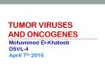 TUMOR%20VIRUSES%20AND%20ONCOGENES PowerPoint PPT Presentation