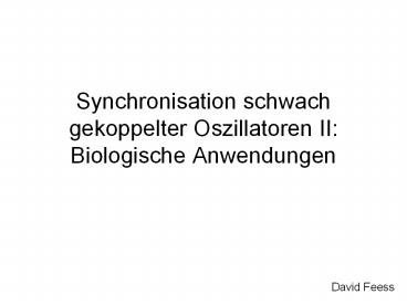Synchronisation schwach gekoppelter Oszillatoren II: Biologische Anwendungen