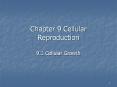 Chapter 9 Cellular Reproduction PowerPoint PPT Presentation