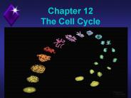 Chapter 12        The Cell Cycle