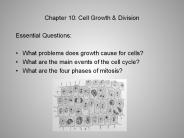 Chapter 10: Cell Growth