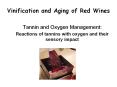 Vinification and Aging of Red Wines PowerPoint PPT Presentation