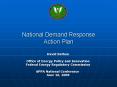 National Demand Response Action Plan PowerPoint PPT Presentation