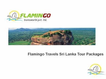 Explore Sri Lanka: A Gift From The Indian Ocean