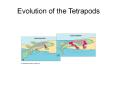 Evolution of the Tetrapods PowerPoint PPT Presentation